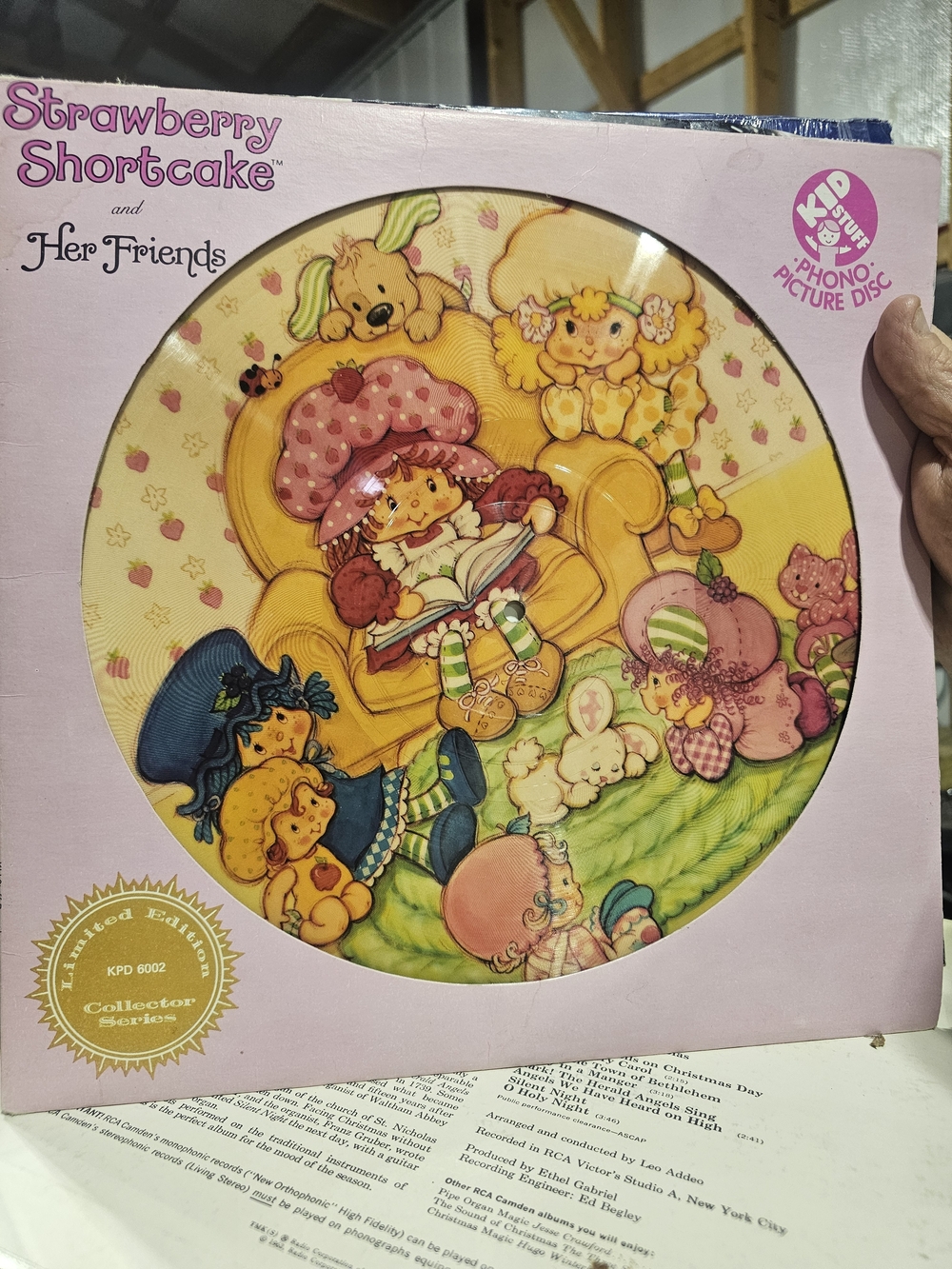 Strawberry Shortcake Collector Picture Disc - Pink